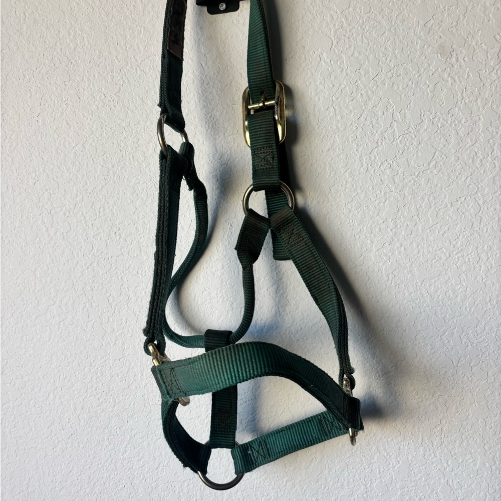 Green Horse Halter